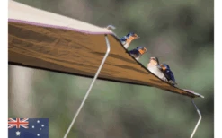 Gordigear Dachzelt 140 Plus Für 2 Personen Mit Vorzelt 140 X 320 Cm Grün -Outwell Verkaufsgeschäft 737393 4968680